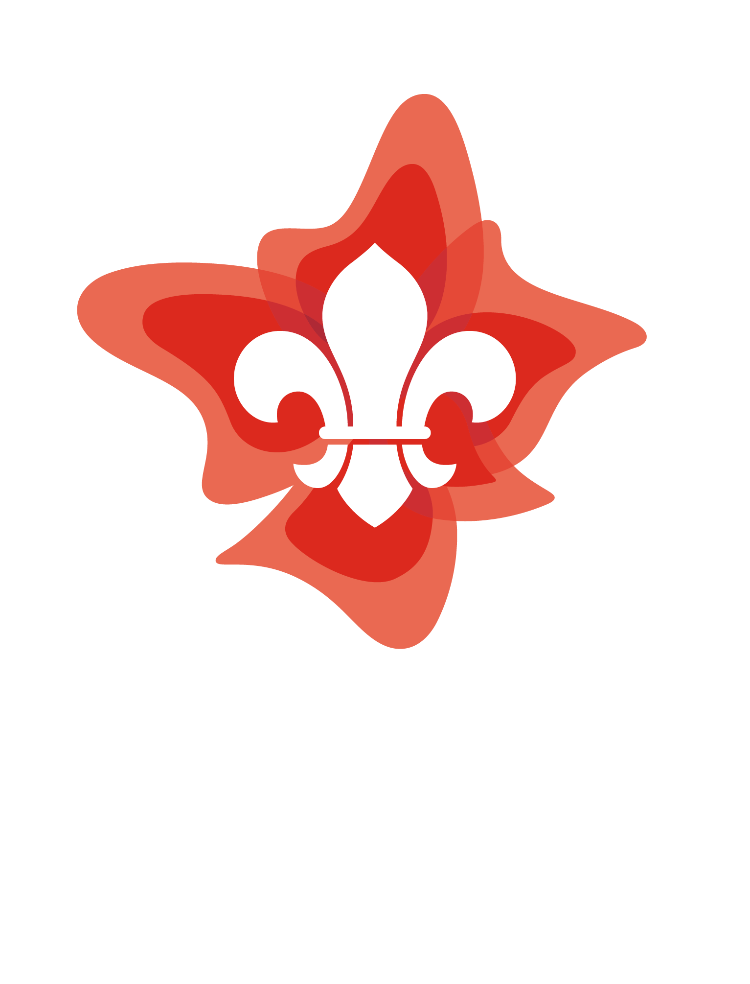 Rover Scouts